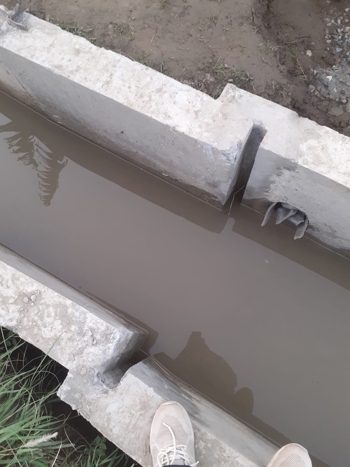 ⁠command area development works of tertiary canals and water course ( CAD- 2) in Rani irrigation system . World bank funded project.